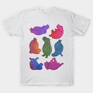 Hippo Workout -decorated hippos T-Shirt